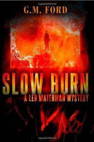 Slow Burn book cover