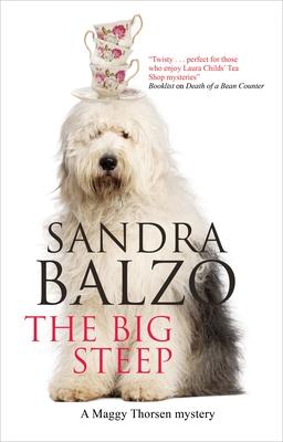 Big Steep, The book cover