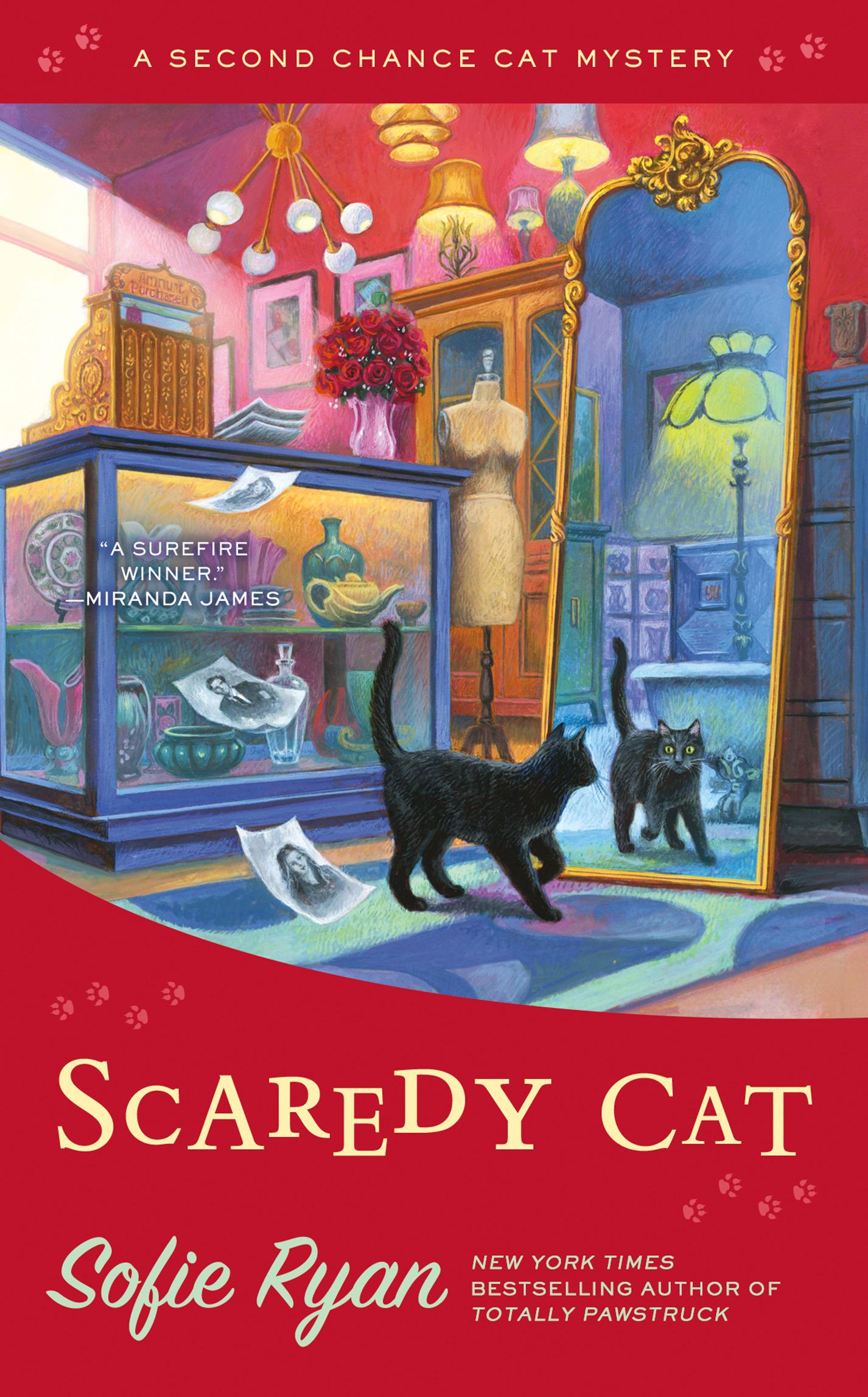 Scaredy Cat book cover