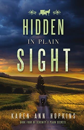 Hidden in Plain Sight book cover