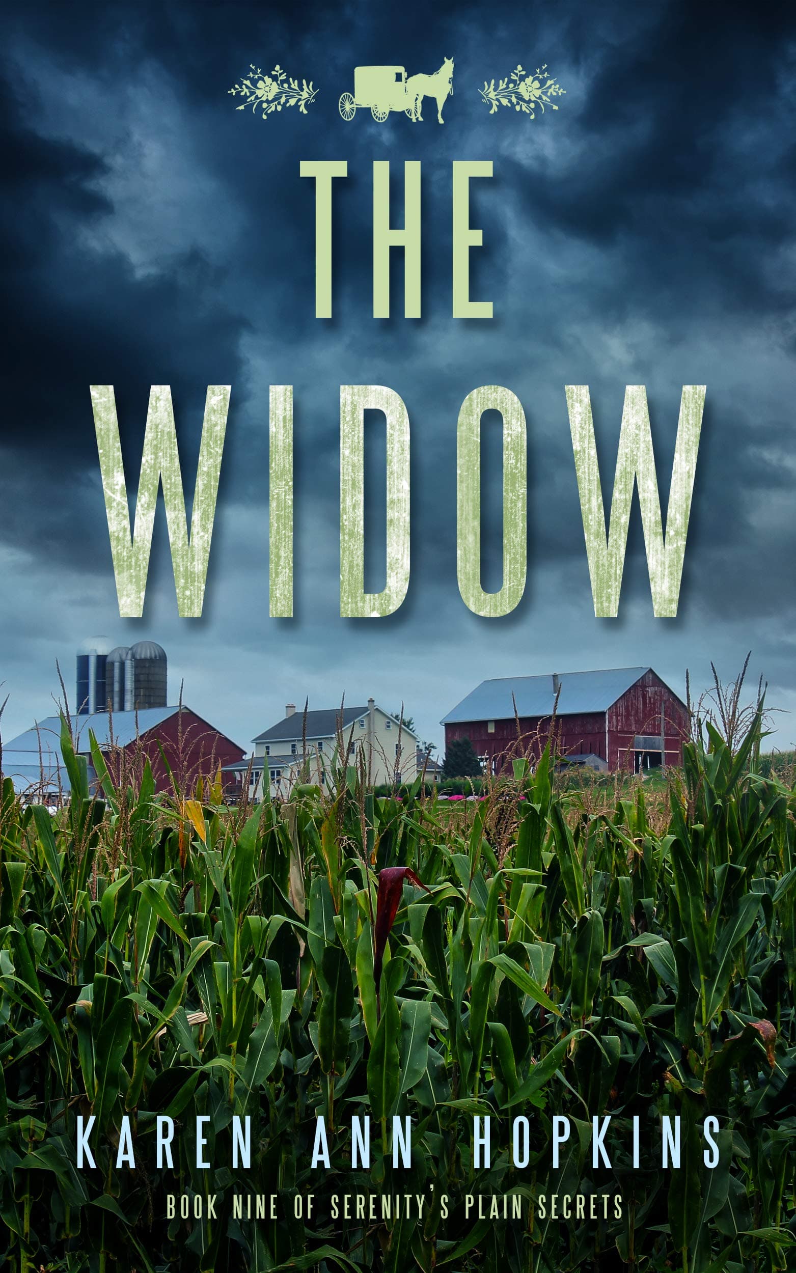 The Widow book cover