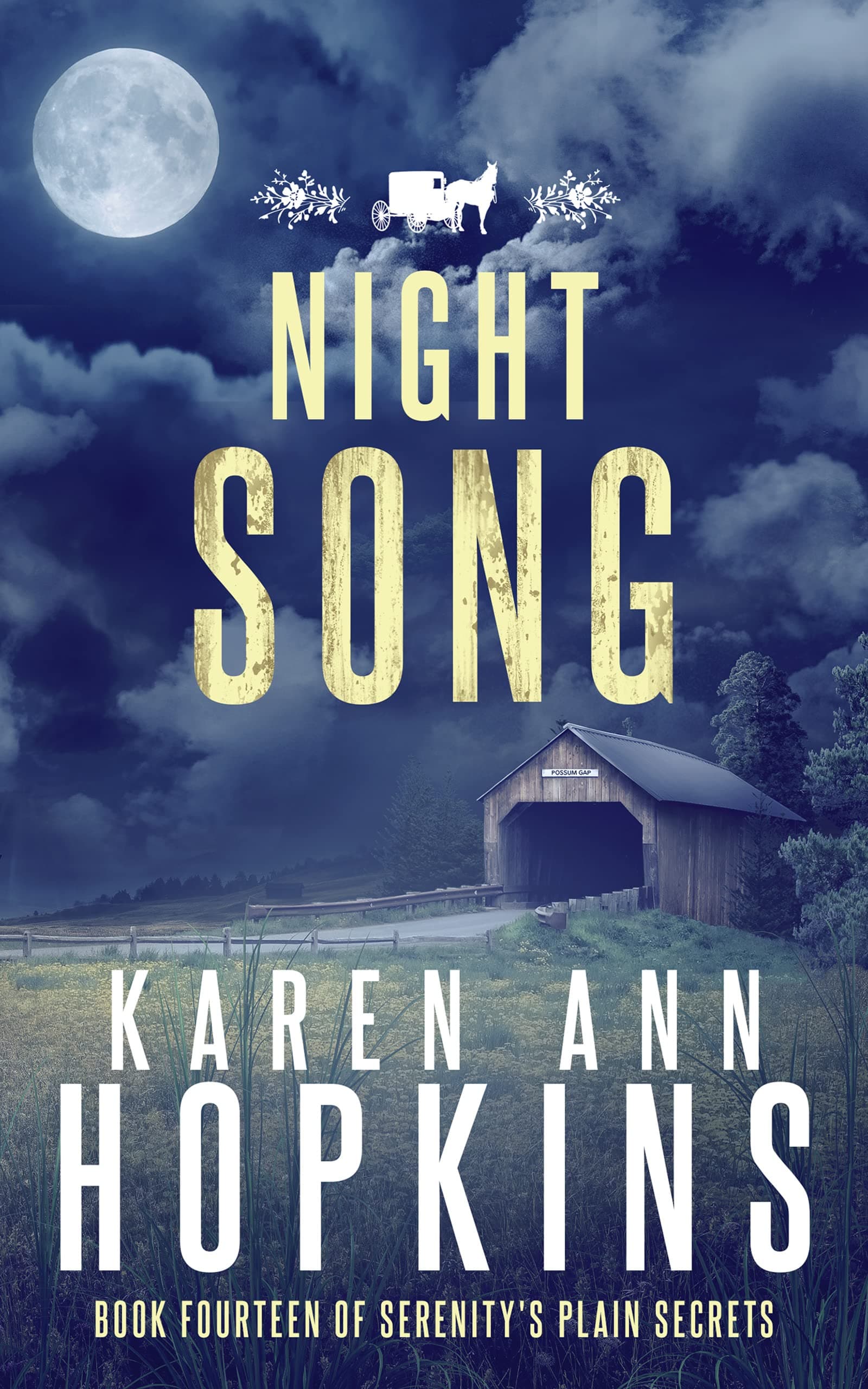 Night Song book cover