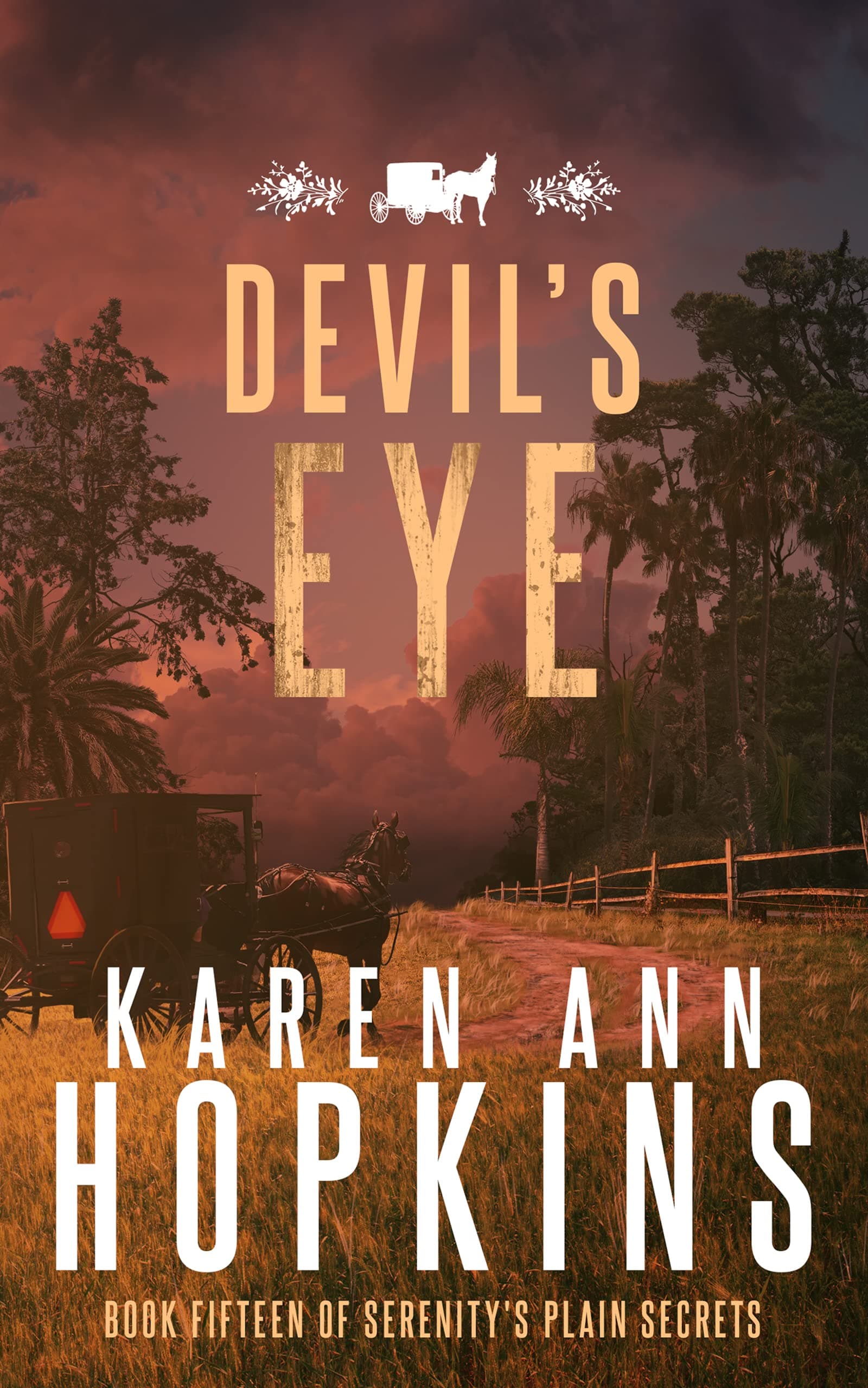 Devil's Eye book cover