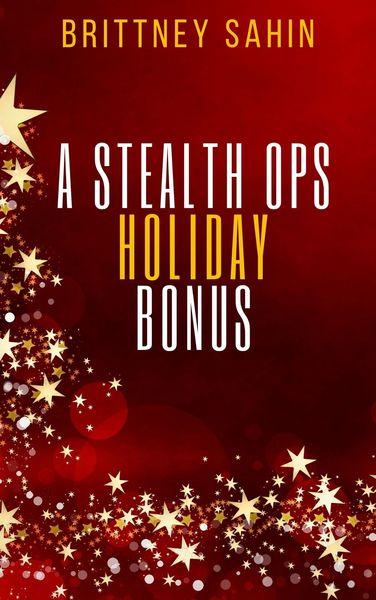 A Stealth Ops Holiday Bonus: Chasing Shadows Prequel book cover