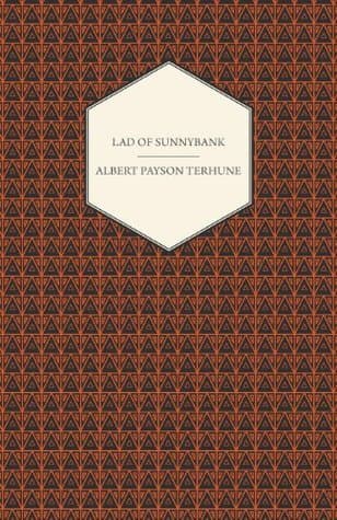 Lad of Sunnybank book cover