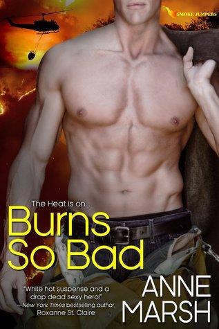 Series Book Cover Preview