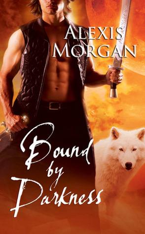 Bound by Darkness book cover