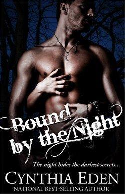 Bound by the Night book cover