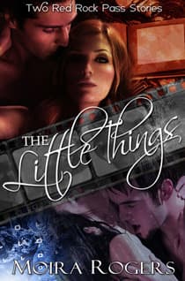 The Little Things book cover