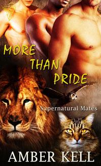 More than Pride book cover