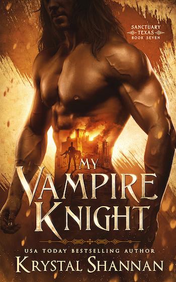My Vampire Knight book cover