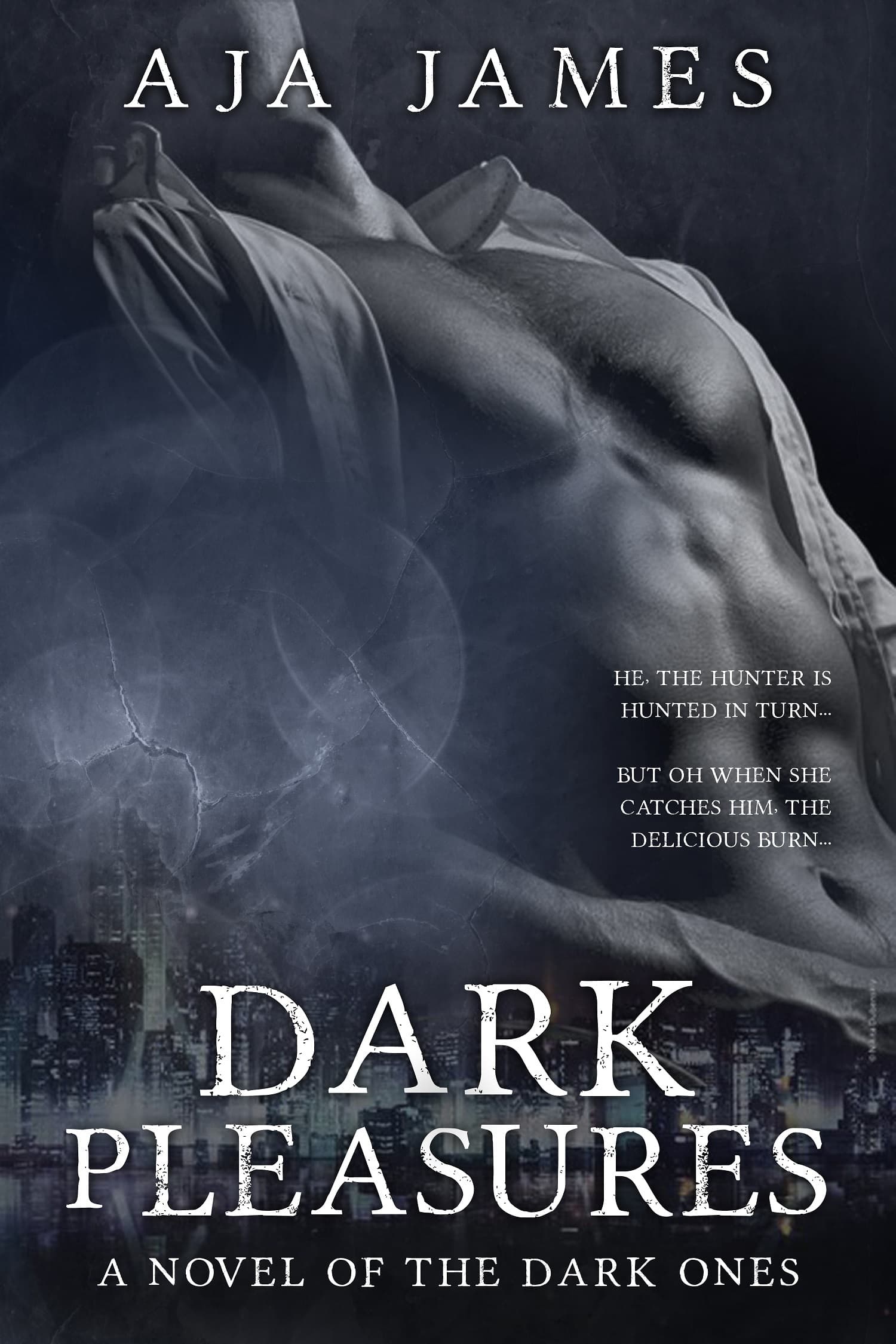 Dark Pleasures book cover