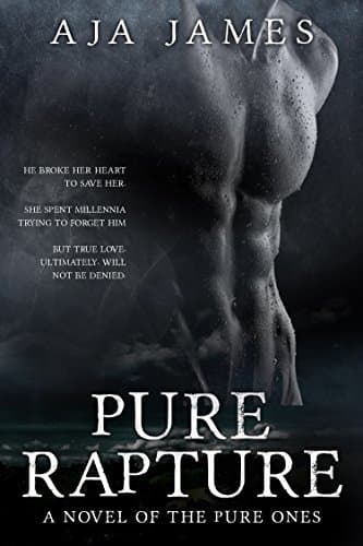 Pure Rapture book cover