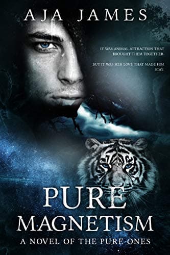 Pure Magnetism book cover