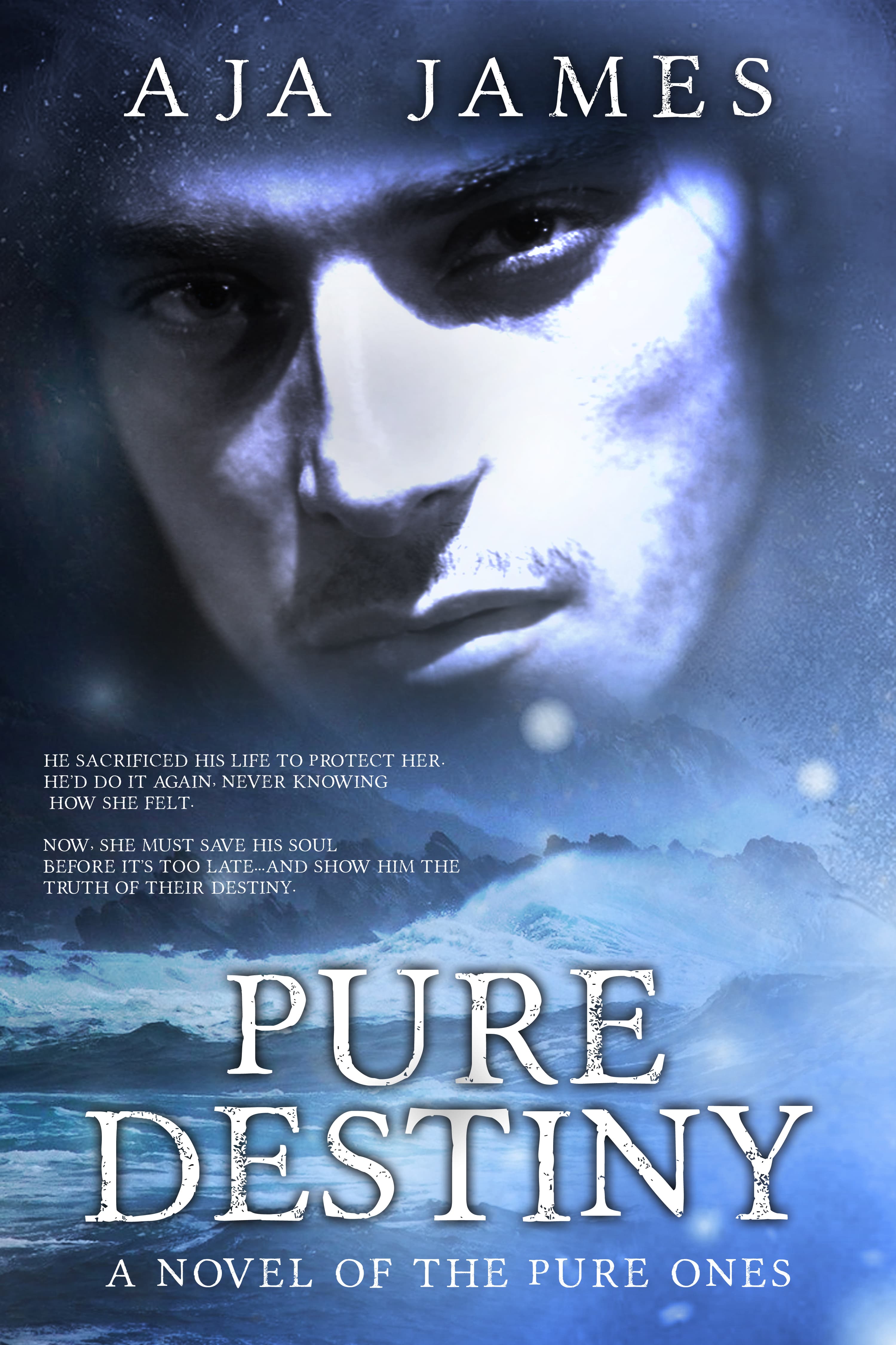 Pure Destiny book cover