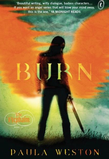 Burn book cover