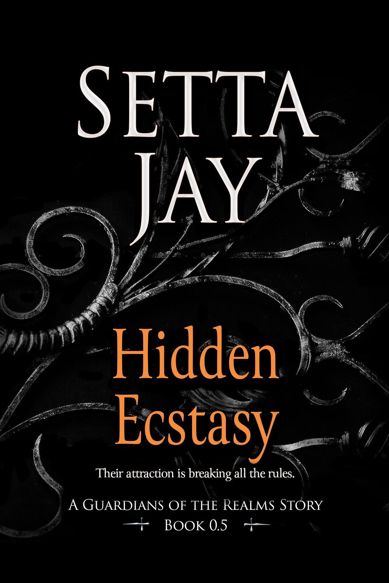 Hidden Ecstasy book cover