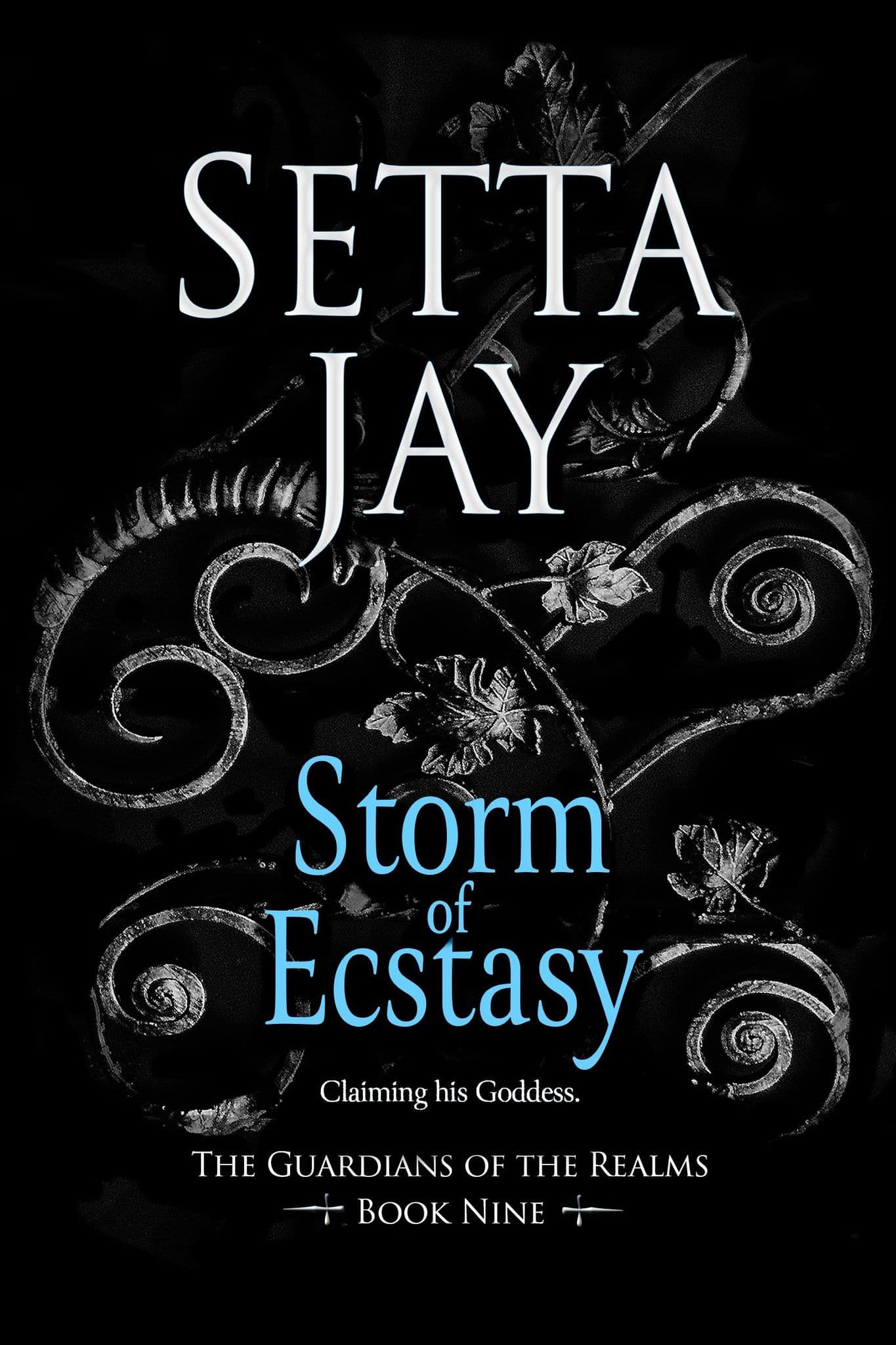 Storm of Ecstasy book cover
