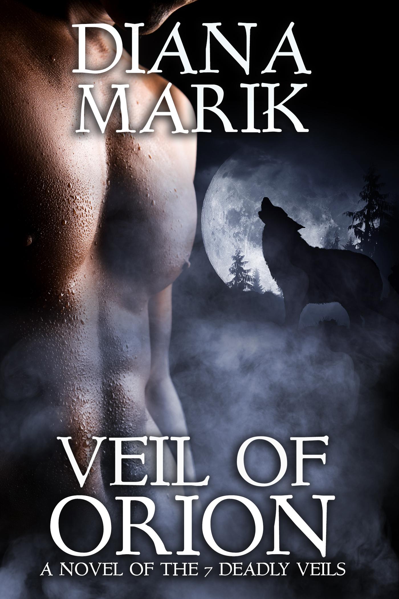 Veil of Orion book cover