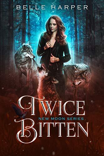 Series Book Cover Preview
