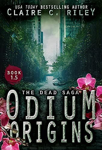 Odium Origins book cover