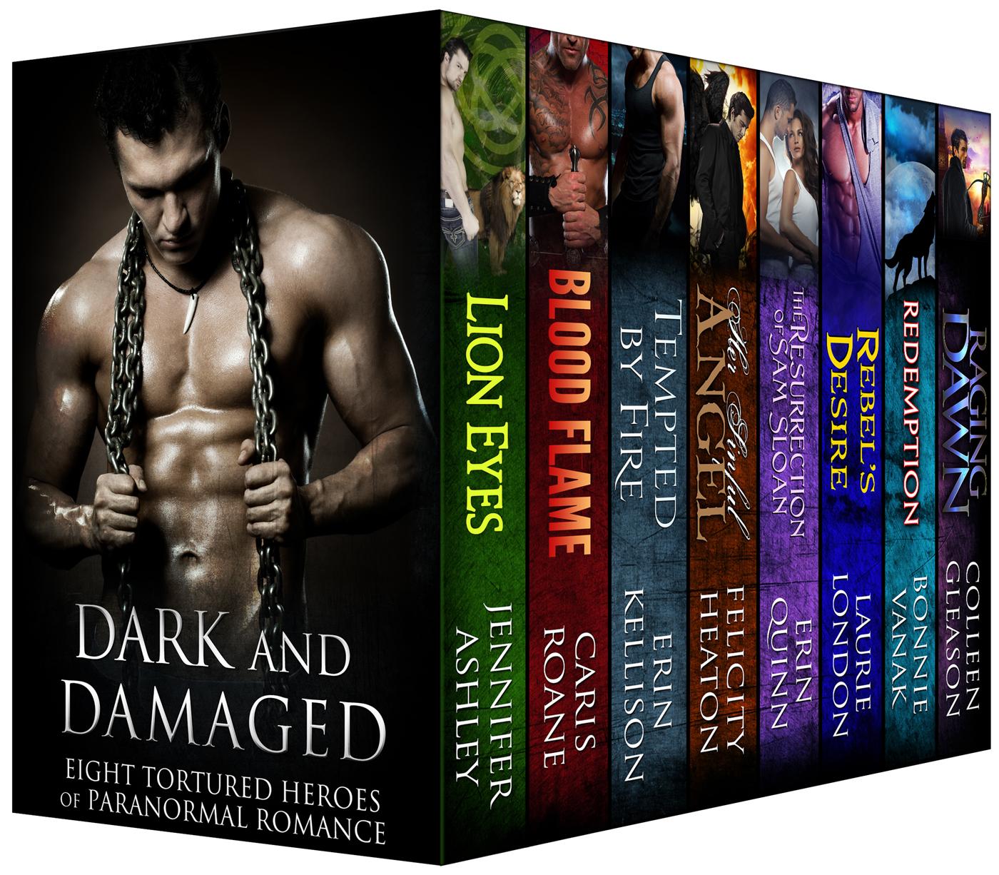 Dark and Damaged: Eight Tortured Heroes of Paranormal Romance book cover