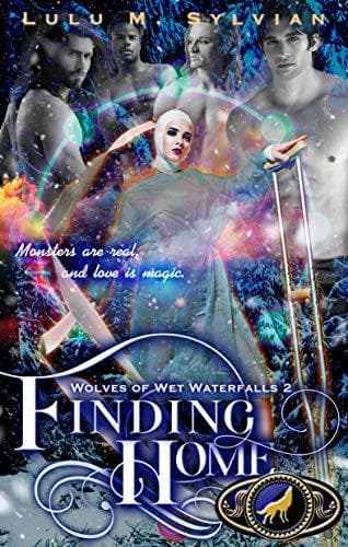 Finding Home book cover
