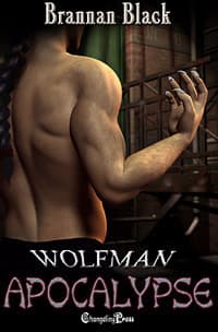 Apocalypse book cover