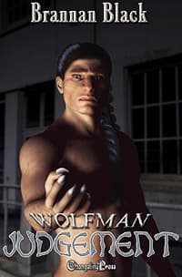 Judgement book cover