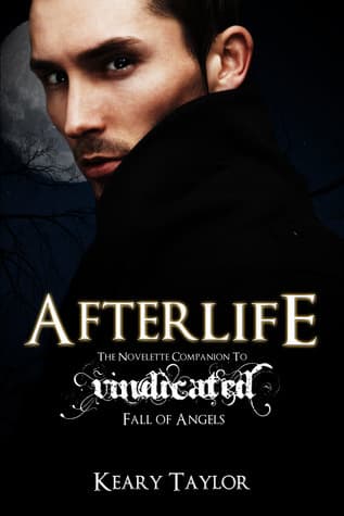 Afterlife book cover