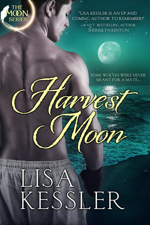 Harvest Moon book cover