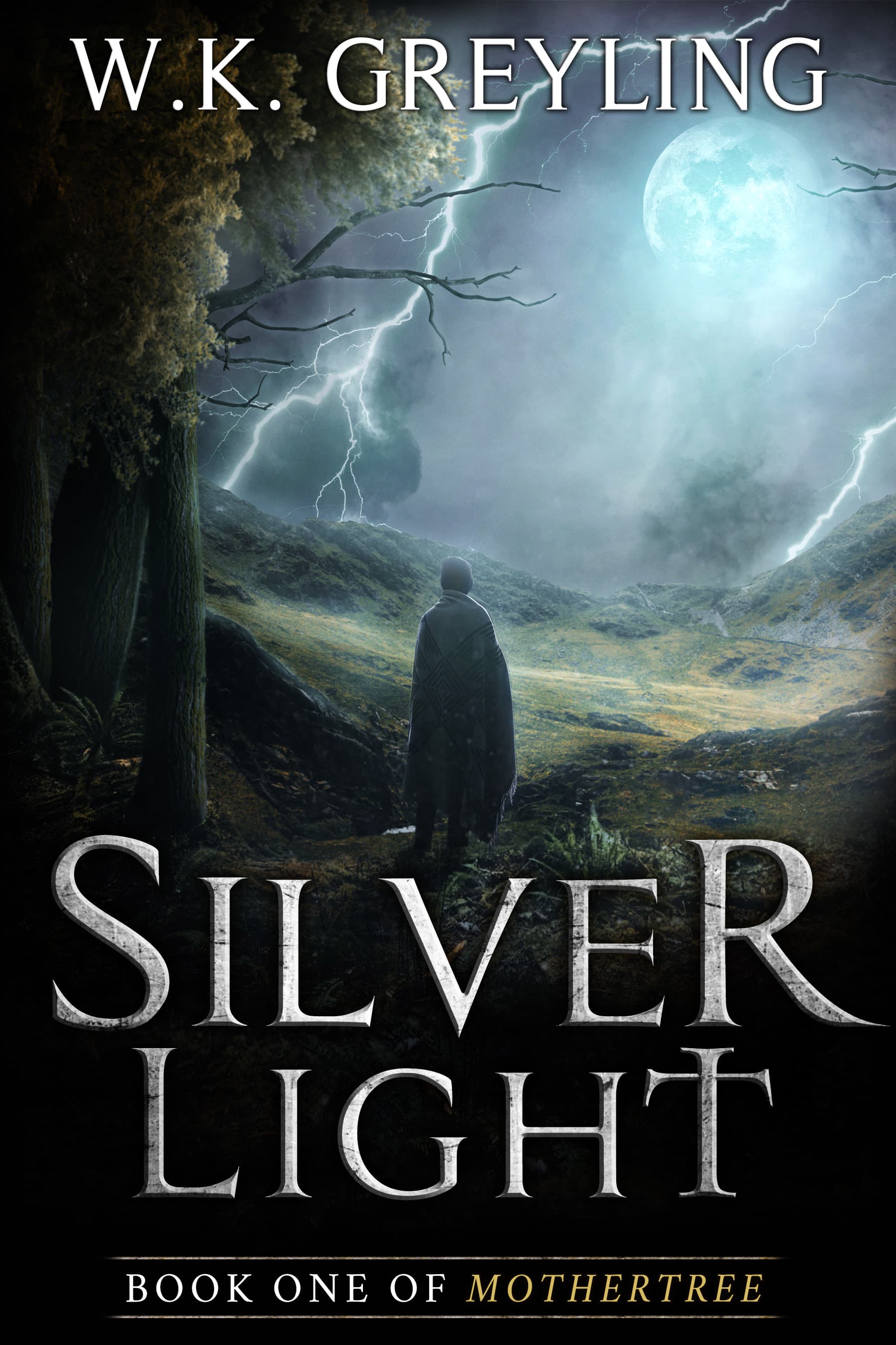 Silver Light book cover