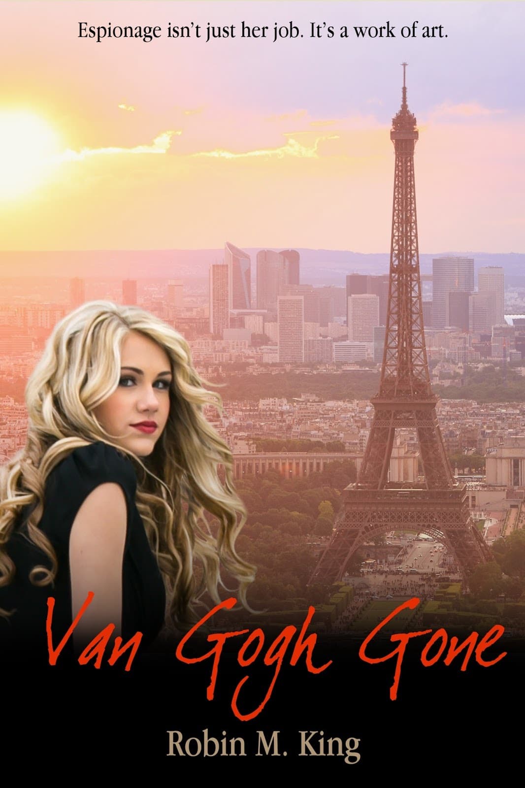 Van Gogh Gone book cover