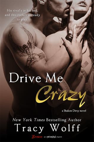 Drive Me Crazy book cover