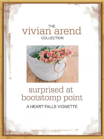 Surprised at Bootstomp Point book cover