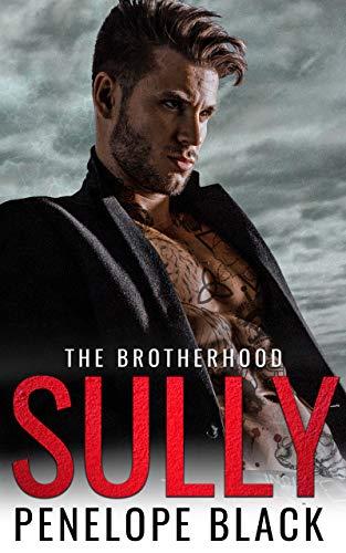 Sully book cover
