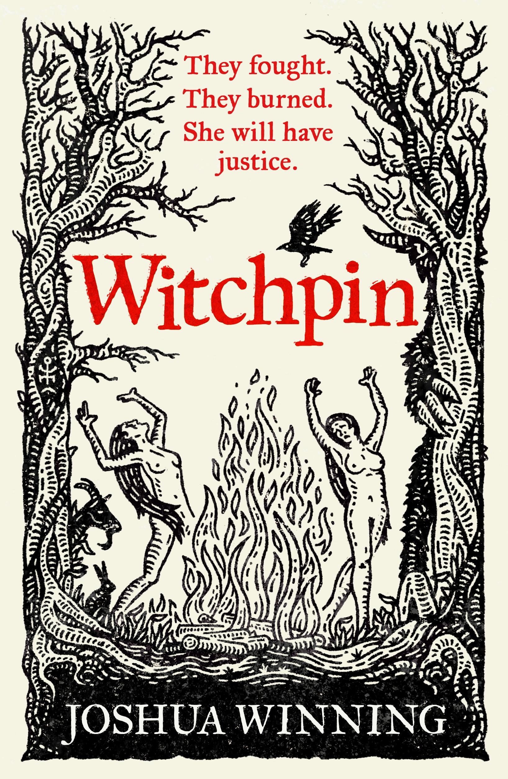 Witchpin book cover