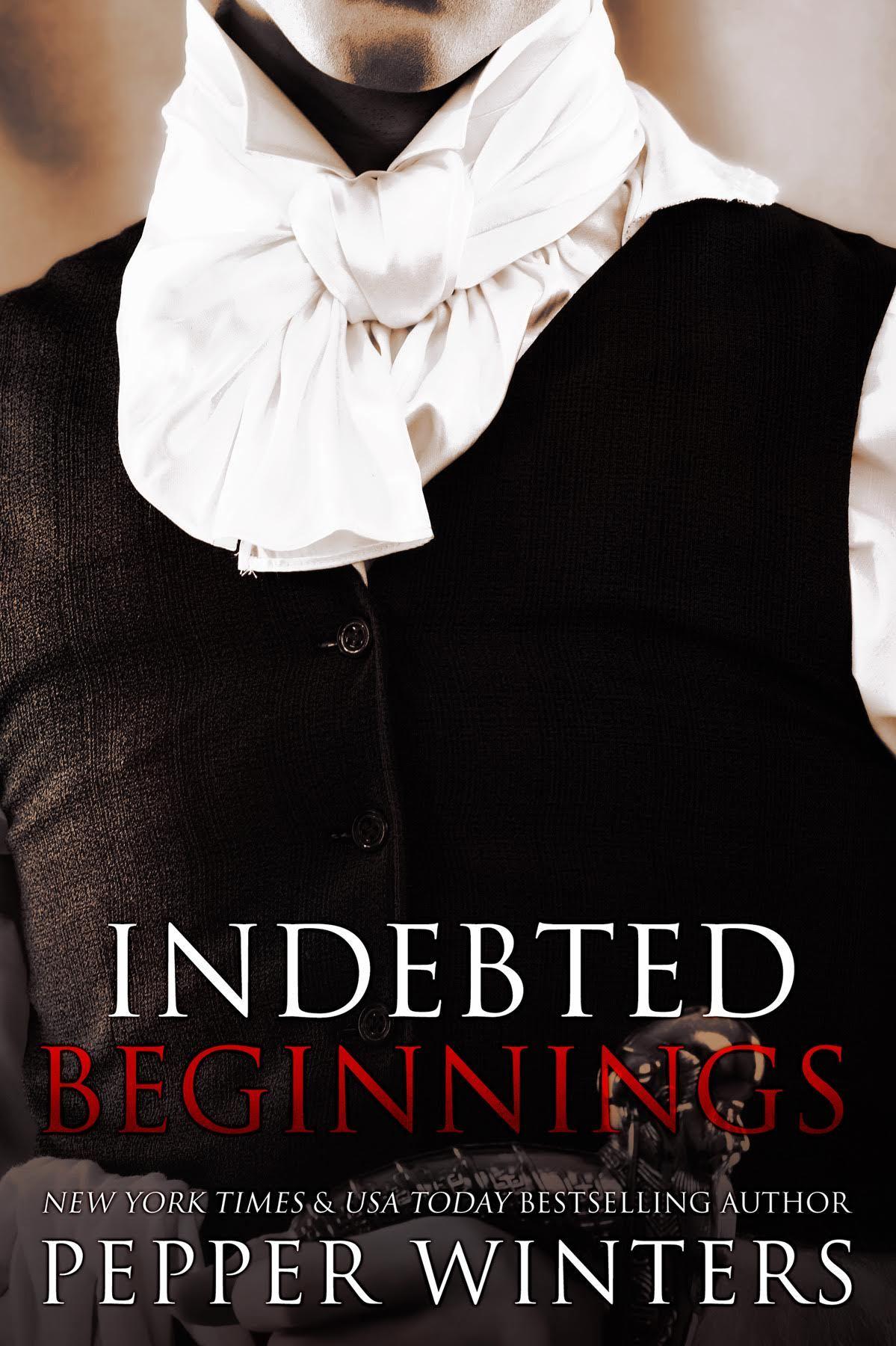Indebted Beginnings book cover