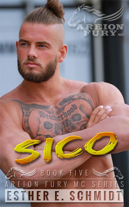 Sico book cover