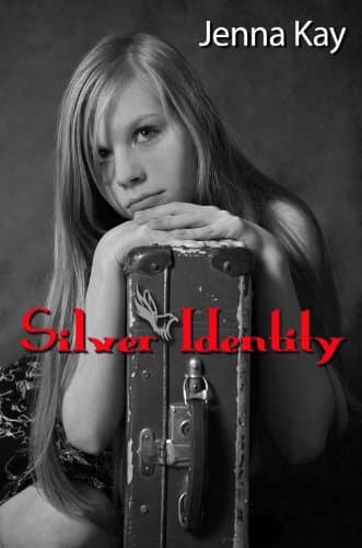 Silver Identity book cover