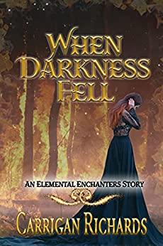 When Darkness Fell book cover