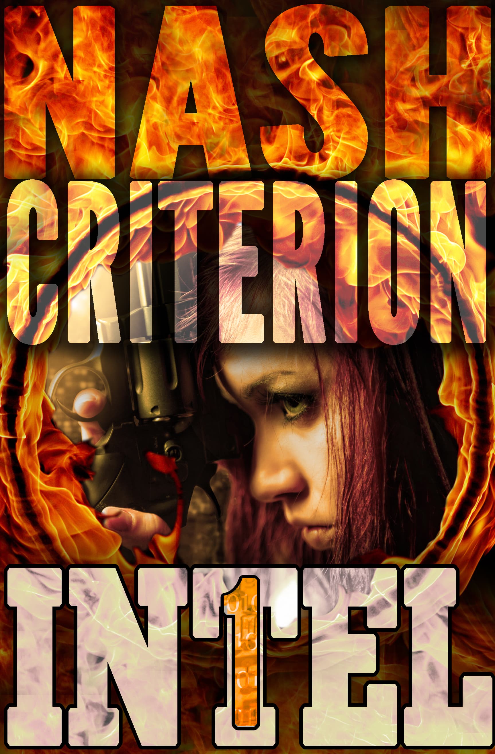 The Nash Criterion book cover