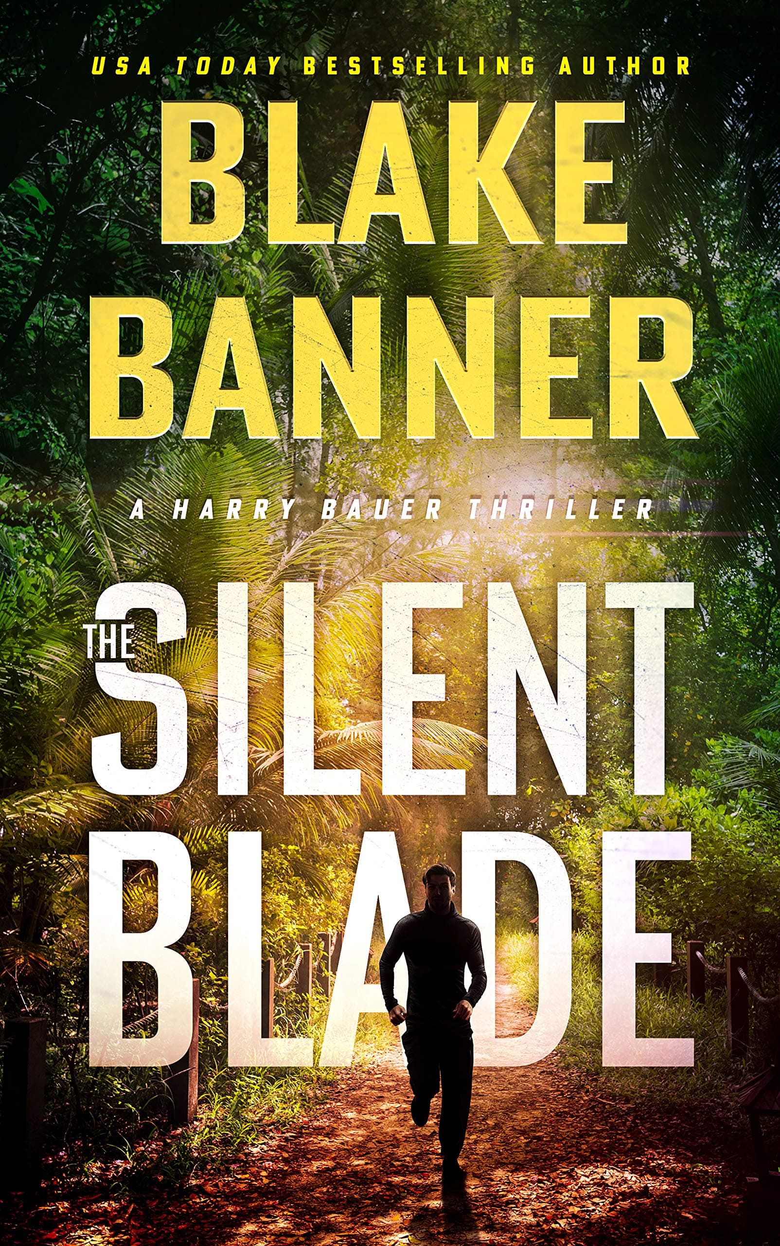 The Silent Blade book cover