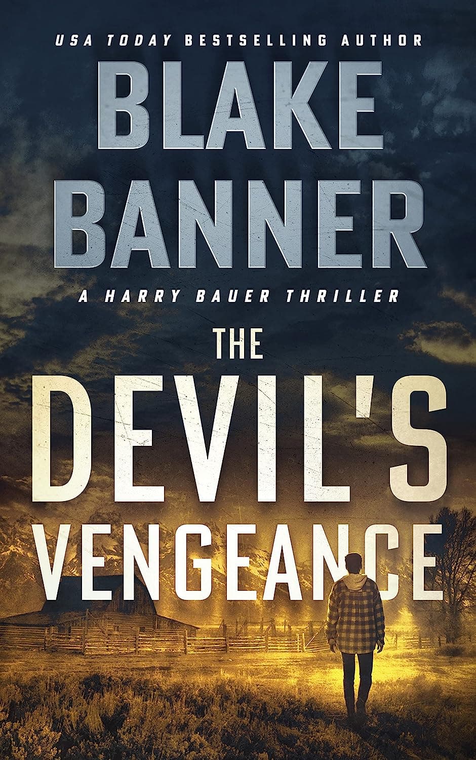 The Devil's Vengeance book cover