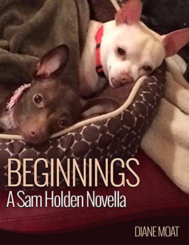 Beginnings book cover