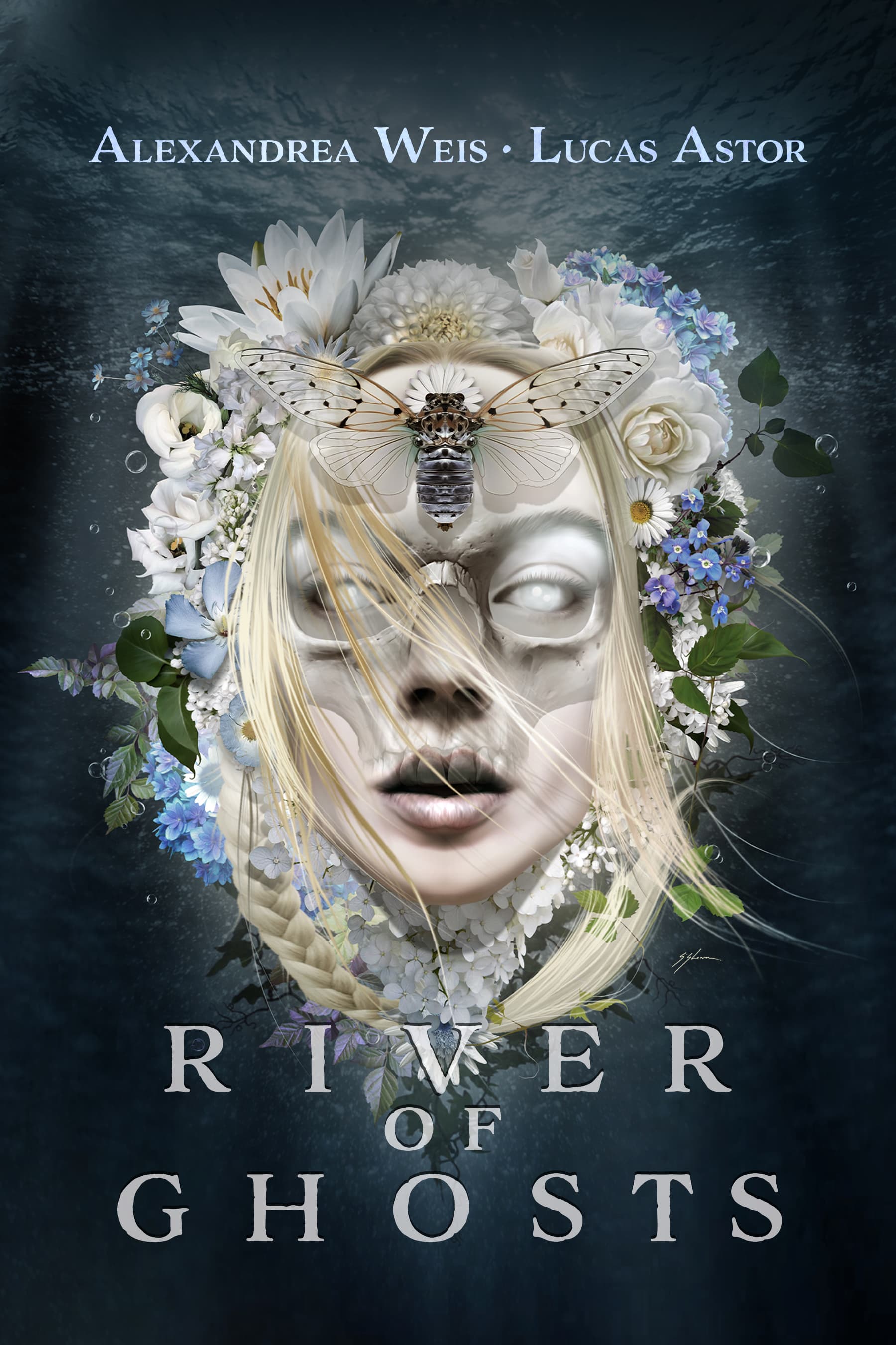 Series Book Cover Preview