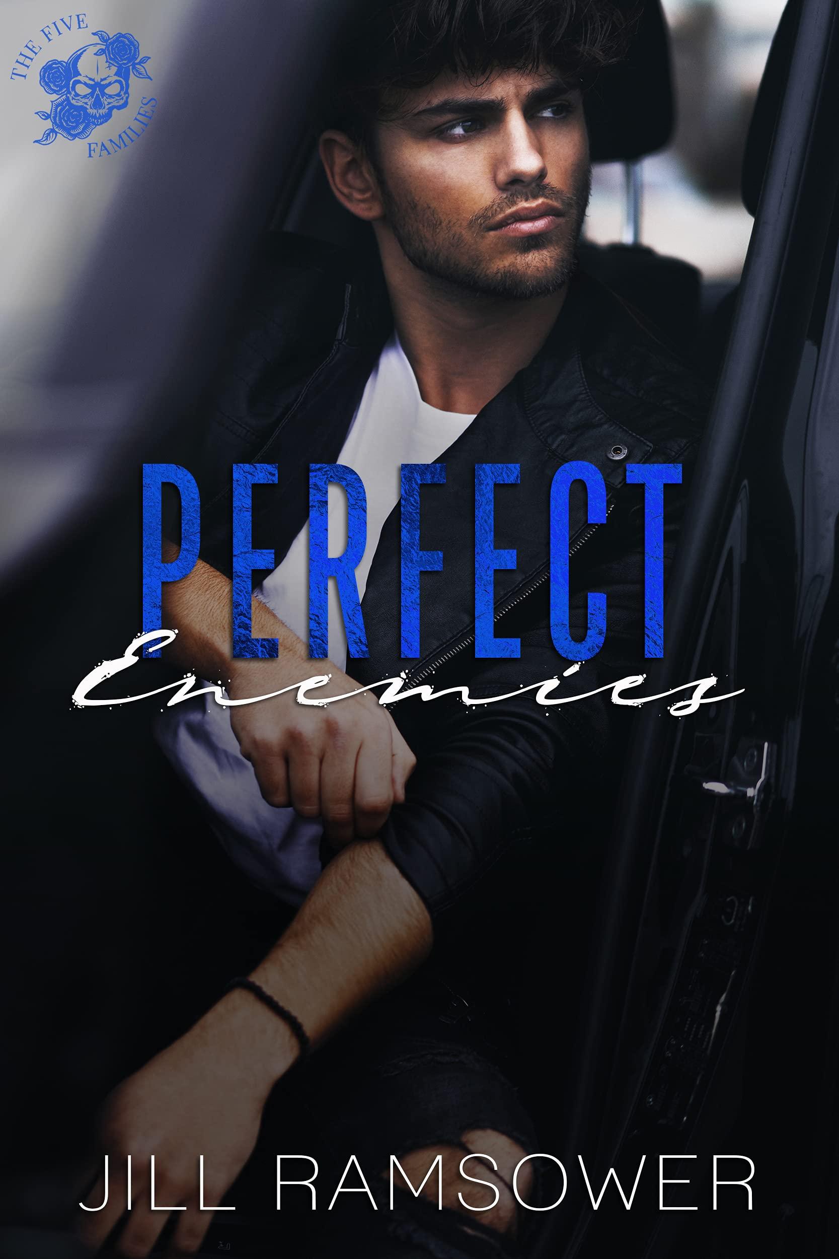 Perfect Enemies book cover
