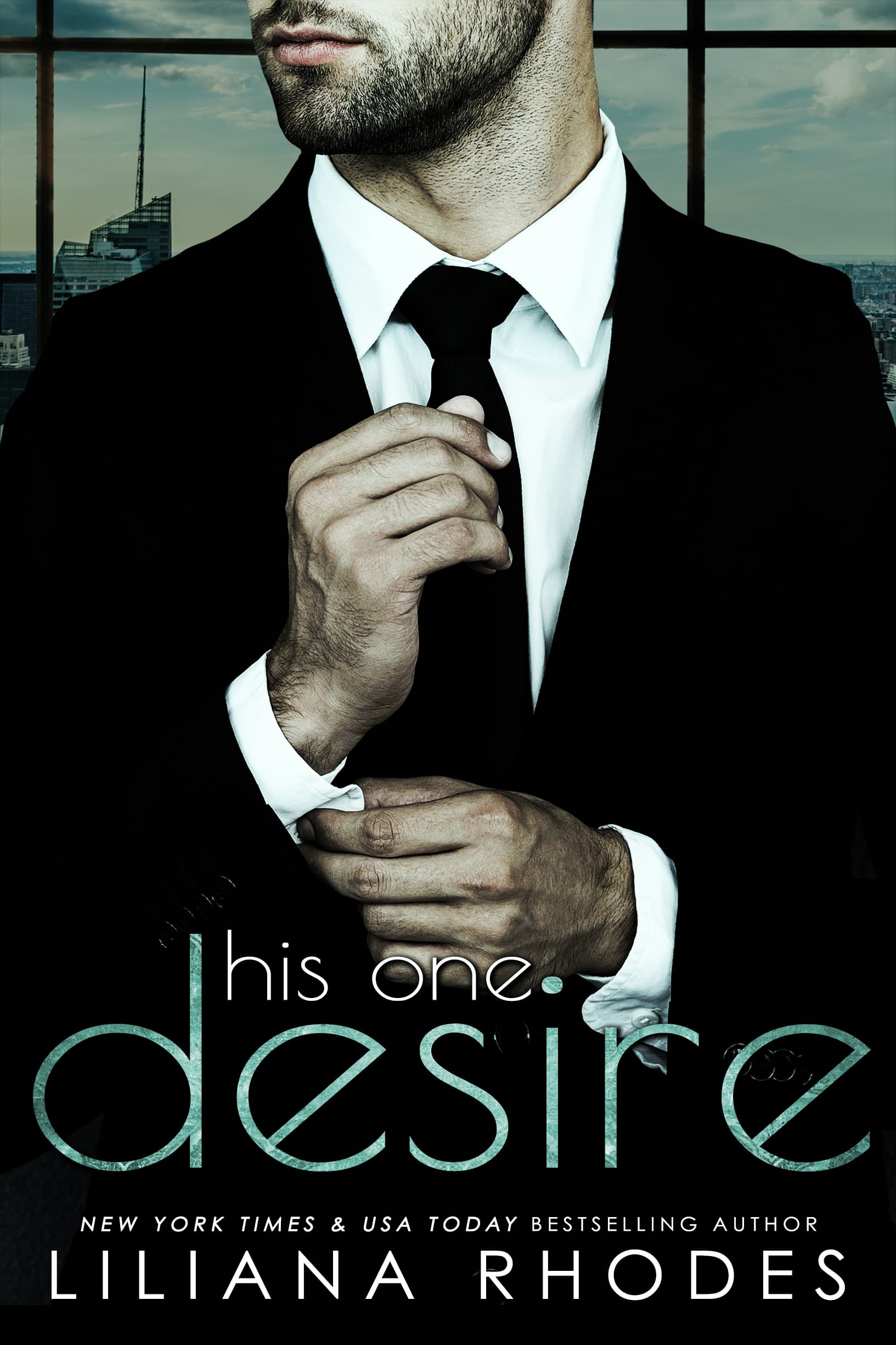 His One Desire book cover
