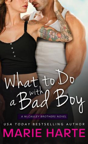 What to Do with a Bad Boy book cover