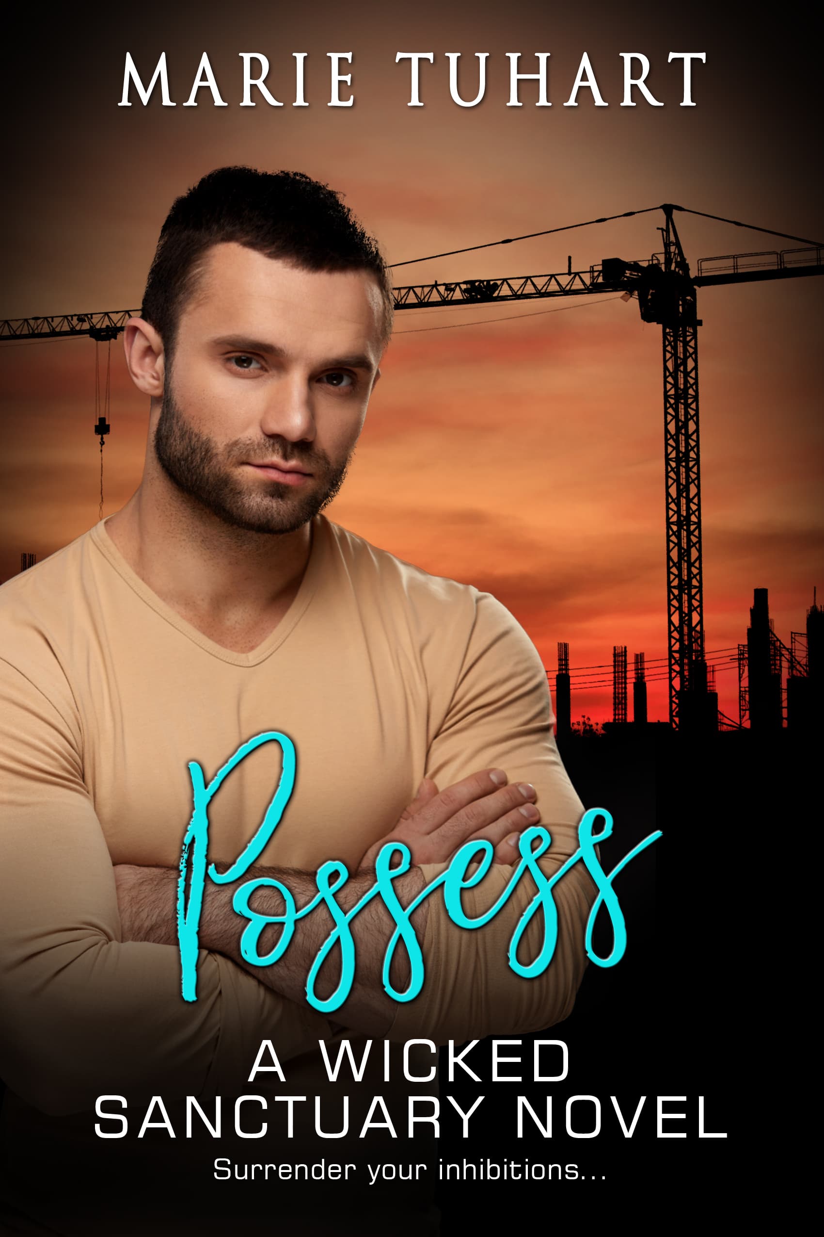 Possess book cover